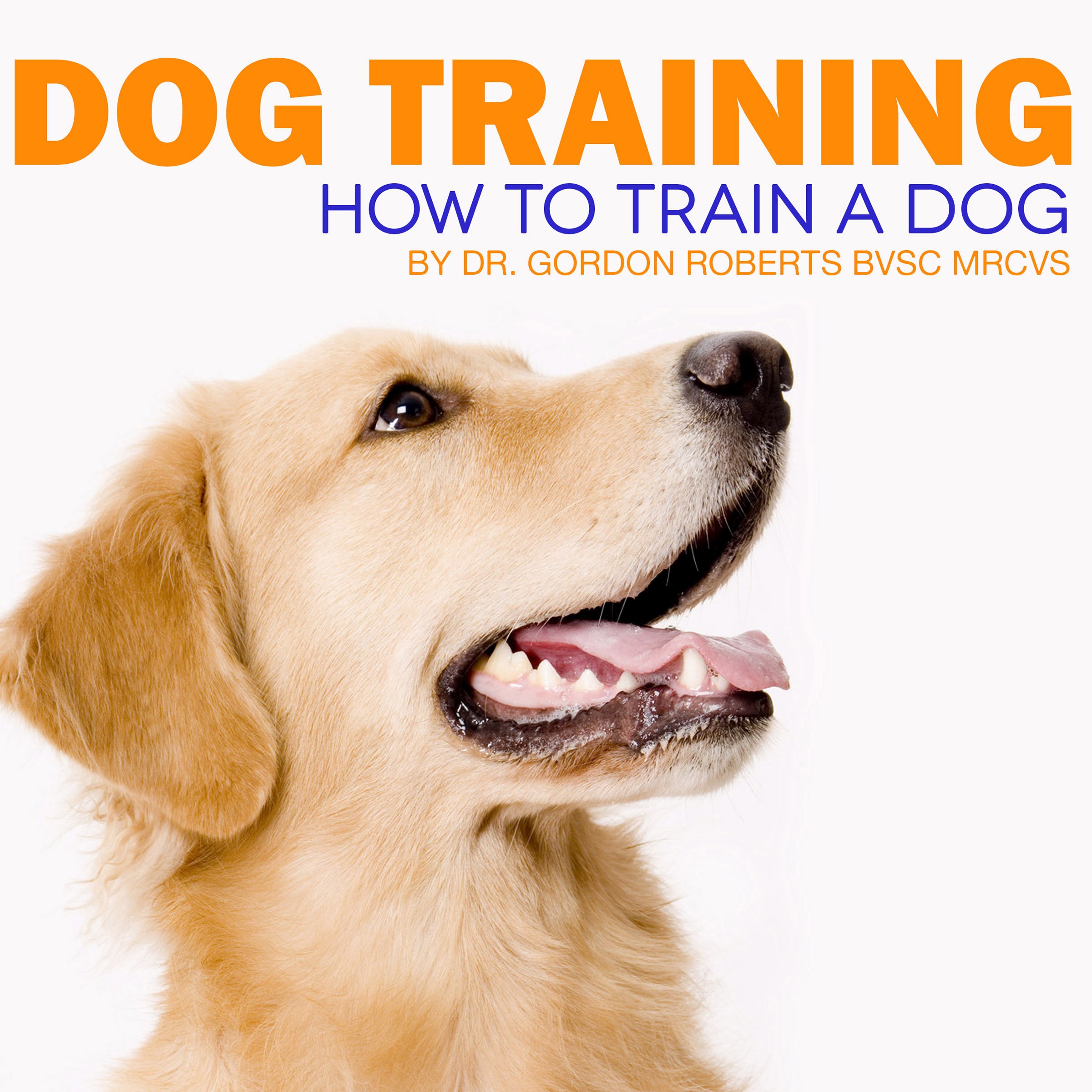 Dog Training