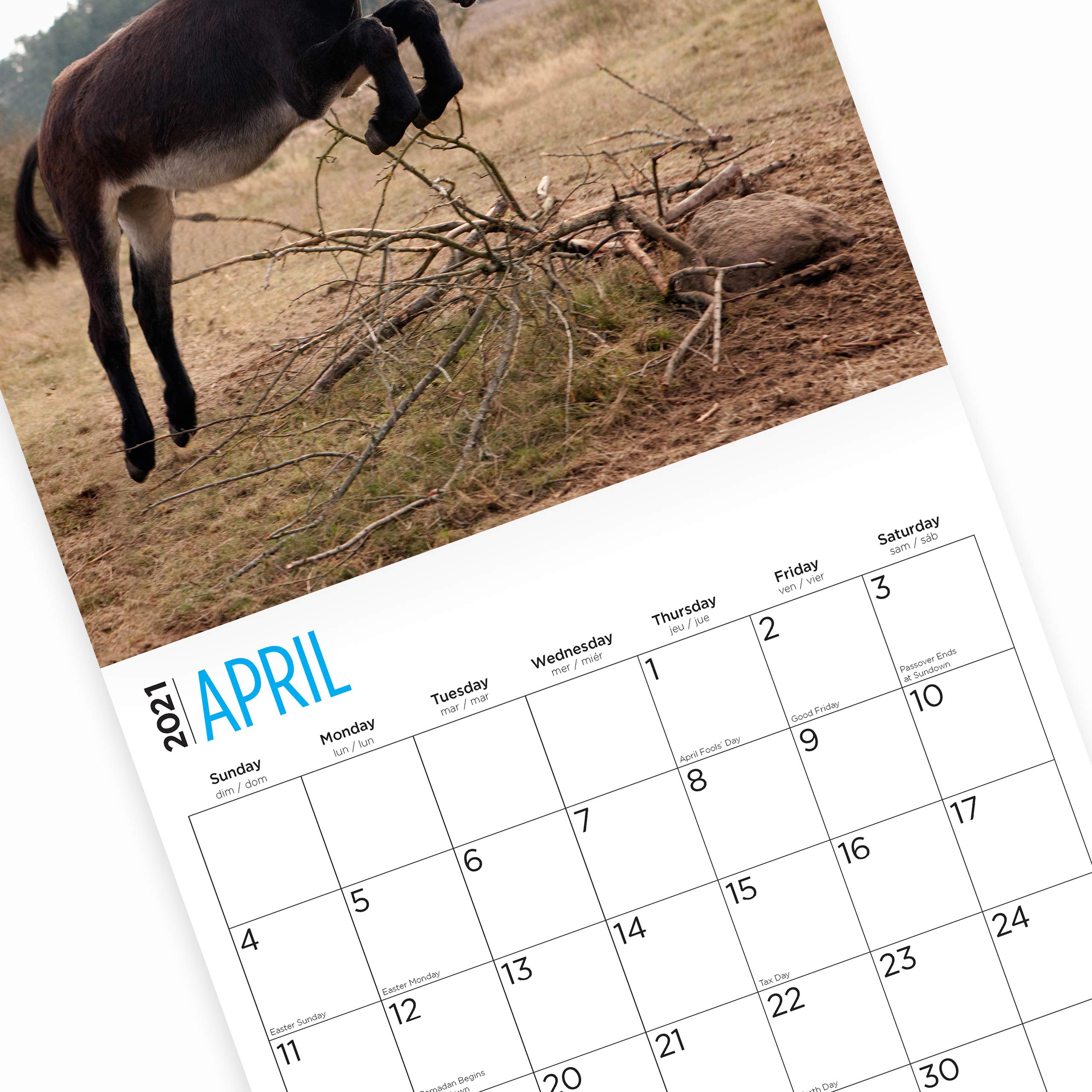 Bright Day Calendars 2021 Donkeys Wall Calendar By Bright Day 12 X 12 bright-day-calendars-2021-donkeys-wall-calendar-by-bright-day-12-x-12