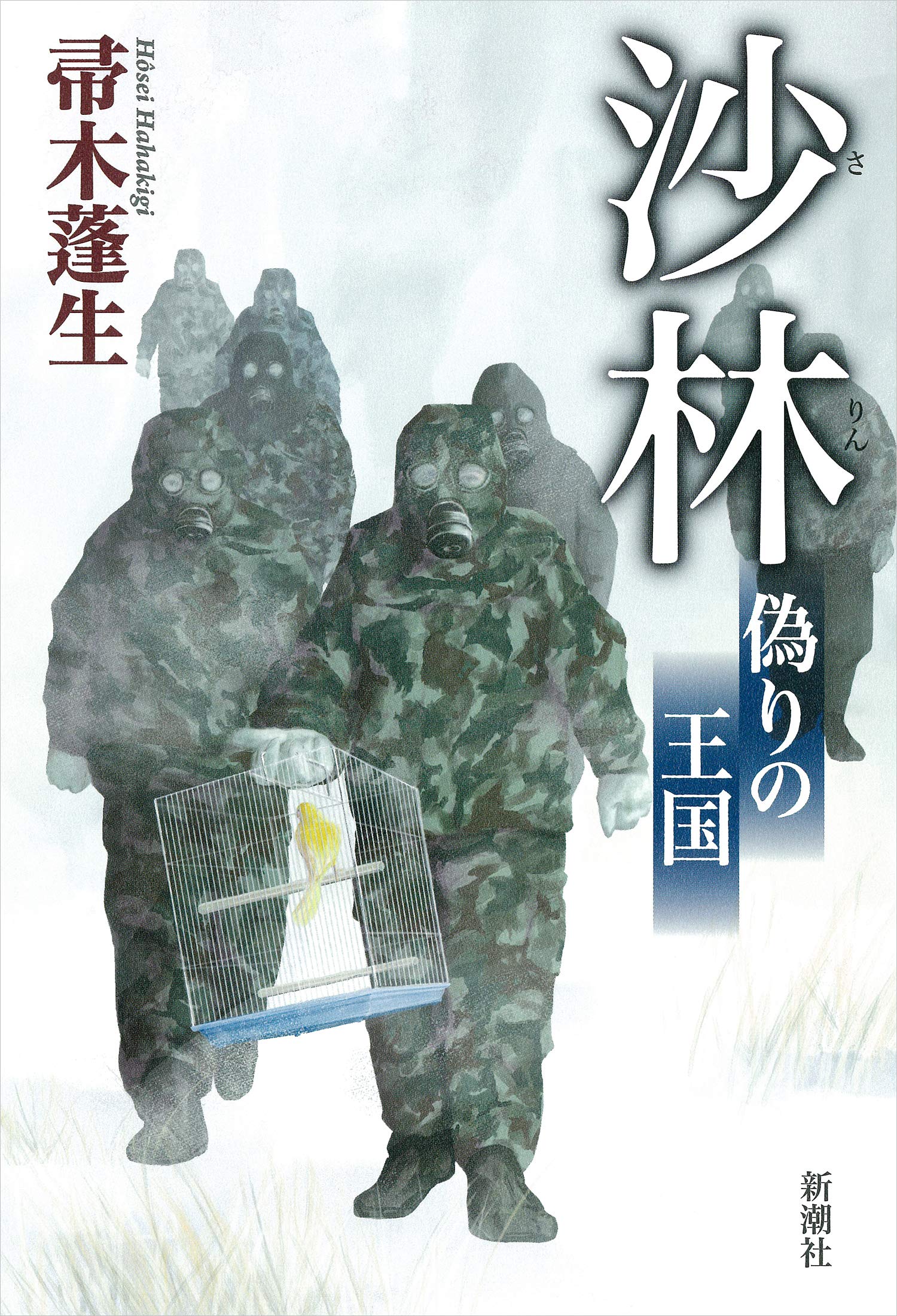 新品DVD　帚木蓬生の世界~自身が語る作品に込める想い~ Amazon.co.jp: 沙林 偽りの王国 : 帚木 蓬生: 本