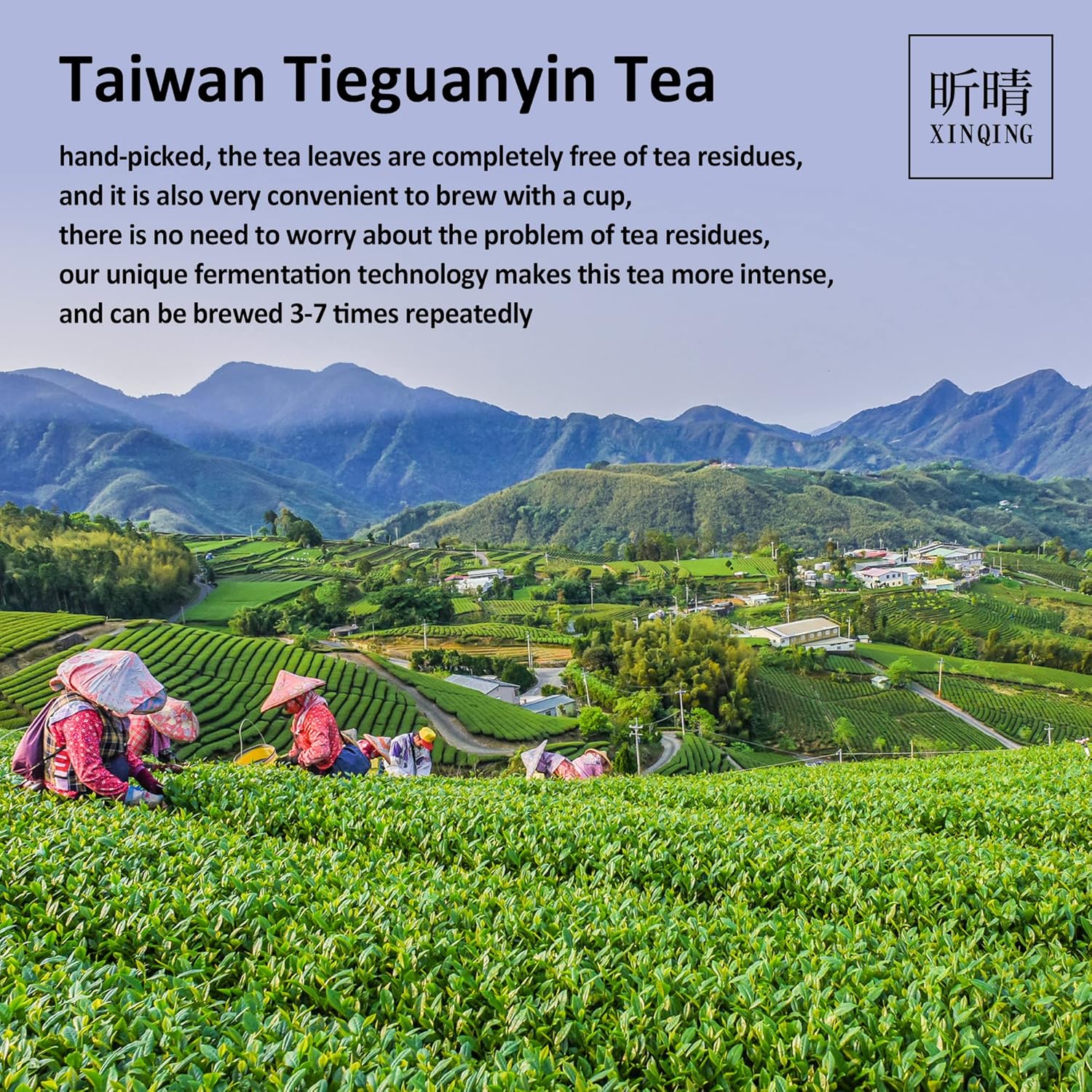 Xin Qing Tieguanyin Oolong Tea Tie Guan Yin Tea Iron Goddess Tieguanyin Taiwan High Mountain Oolong Tea Taiwan Gaoshan Ulong Tea 200g/7.05oz