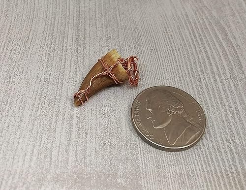 Miniatura 5 de Mosasaurus Tooth Pendant in Copper Wire Wrappng, Real Dinosaur Mosasaur Fossil Pendants, Dino Jewelry, mosasaur tooth fossil Mosasaur necklace