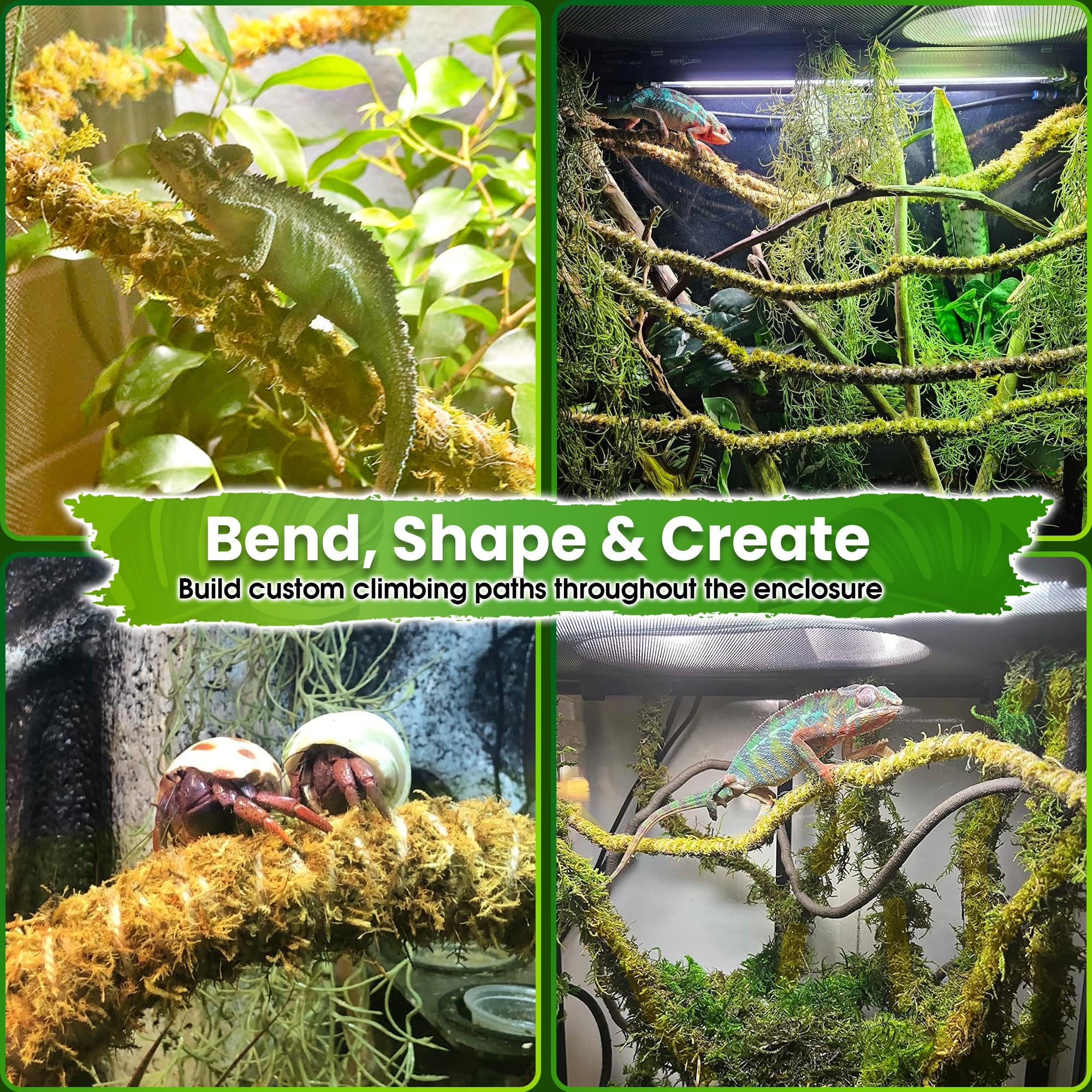 Duspro Vides de reptiles de 10 pies para trepar ramas flexibles para reptiles, cuerda de musgo natural, decoración de selva para dragón barbudo, accesorios de tanque de camaleón, terrario de