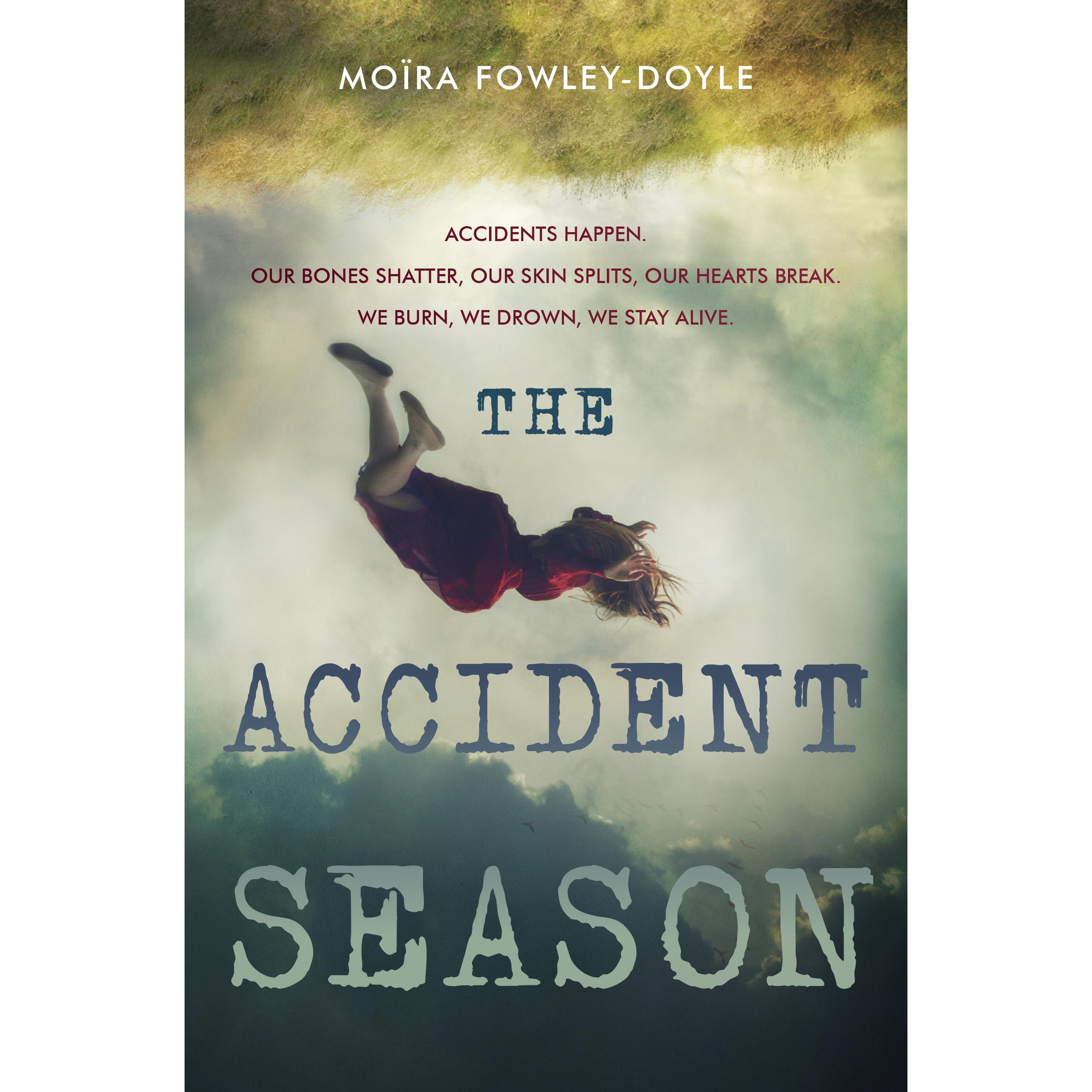 Cover art for The Accident Season