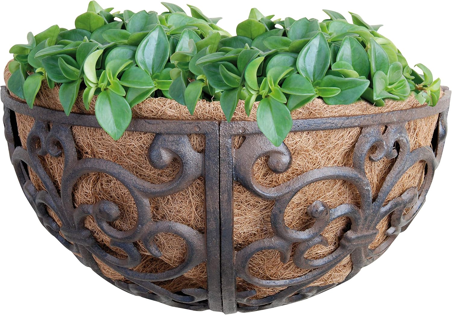 Esschert Design USA BPH27 Cast Iron Hayrack Basket Planter, 14-Inch