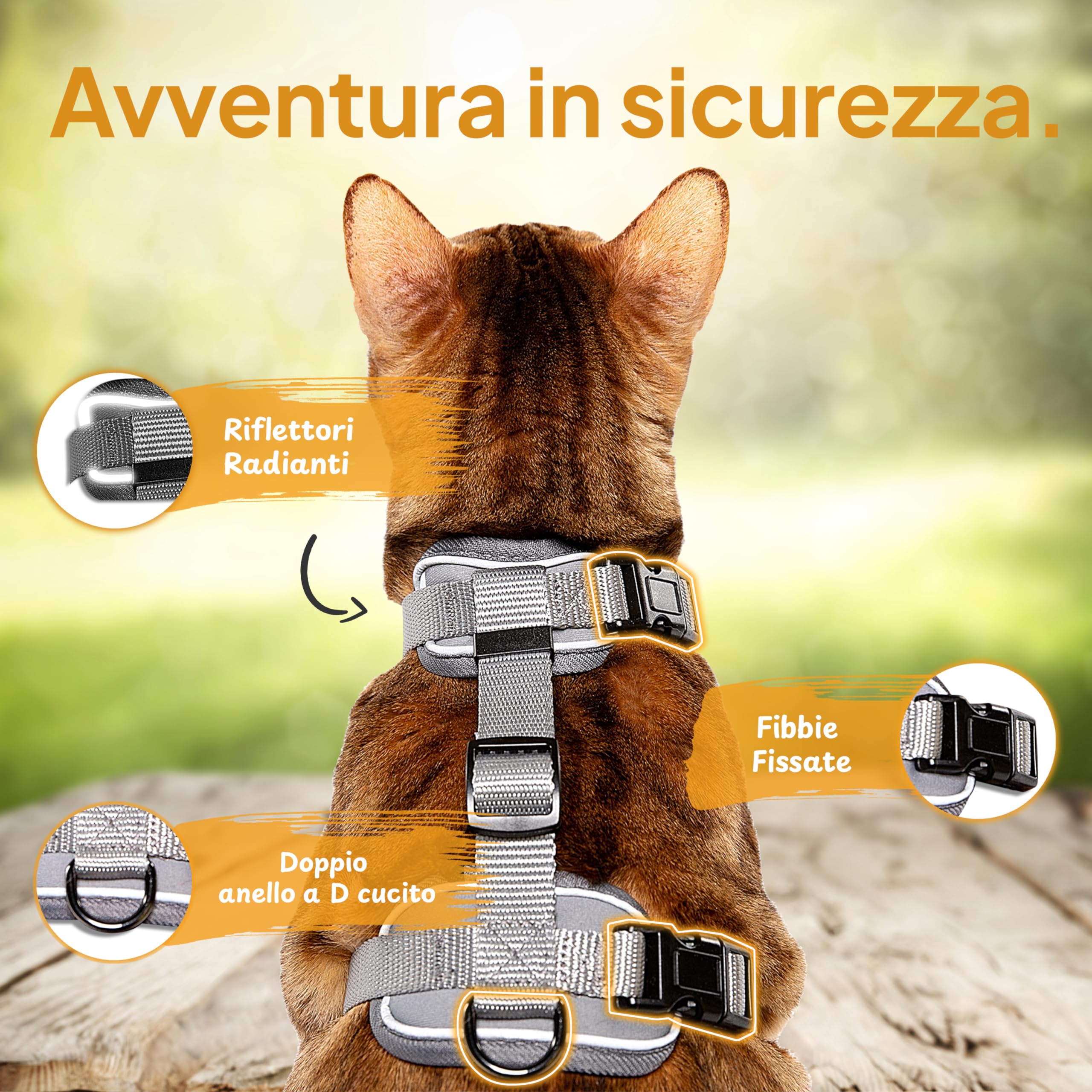 Pettorina Con Guinzaglio Per Gatto - Antifuga, Regolabile, In Neoprene Leggero Con Riflettori (Grigio, Taglia S) - Foto 13