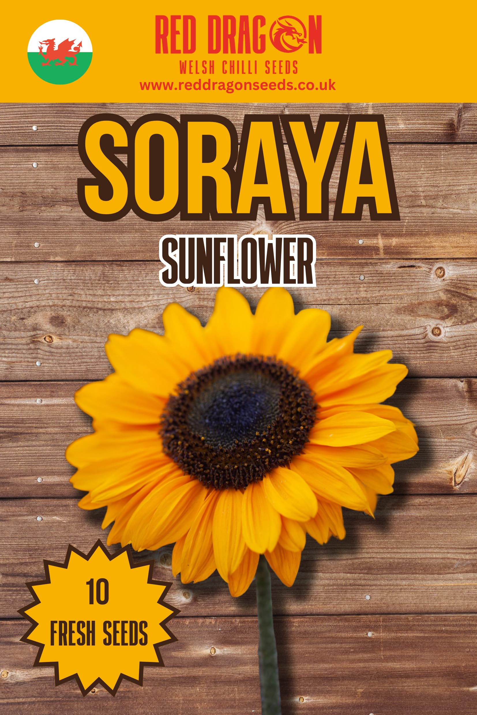 Soraya Sunflower Seeds - 10 Fresh Seeds — image 1