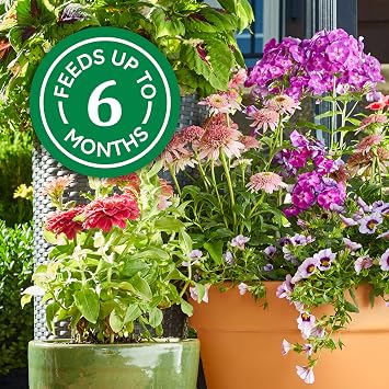 Osmocote Smart-Release Plant Food Plus Outdoor & Indoor - Granular, Continuous Release Plant Fertilizer with 11 Essential Nutrients, 1 lb.
