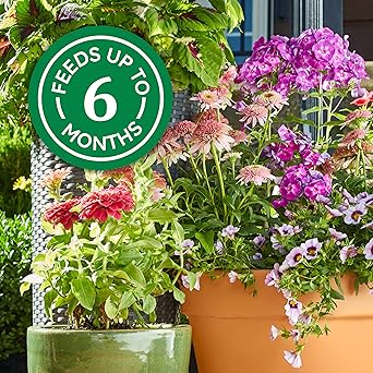 Osmocote Smart-Release Plant Food Plus Outdoor & Indoor1 - Granular, Continuous Release Plant Fertilizer with 11 Essential Nutrients, 1 lb.