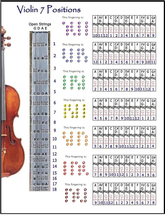 Amazon.com: Violín 7 posiciones de mano Small Gráfico : Instrumentos  Musicales