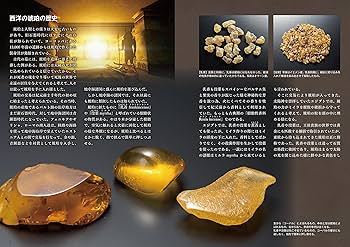 琥珀 (飯田孝一 宝石のほんシリーズvol.1) | 飯田 孝一 |本 | 通販 琥珀 (飯田孝一 宝石のほんシリーズvol.1) | 飯田 孝一 |本 | 通販