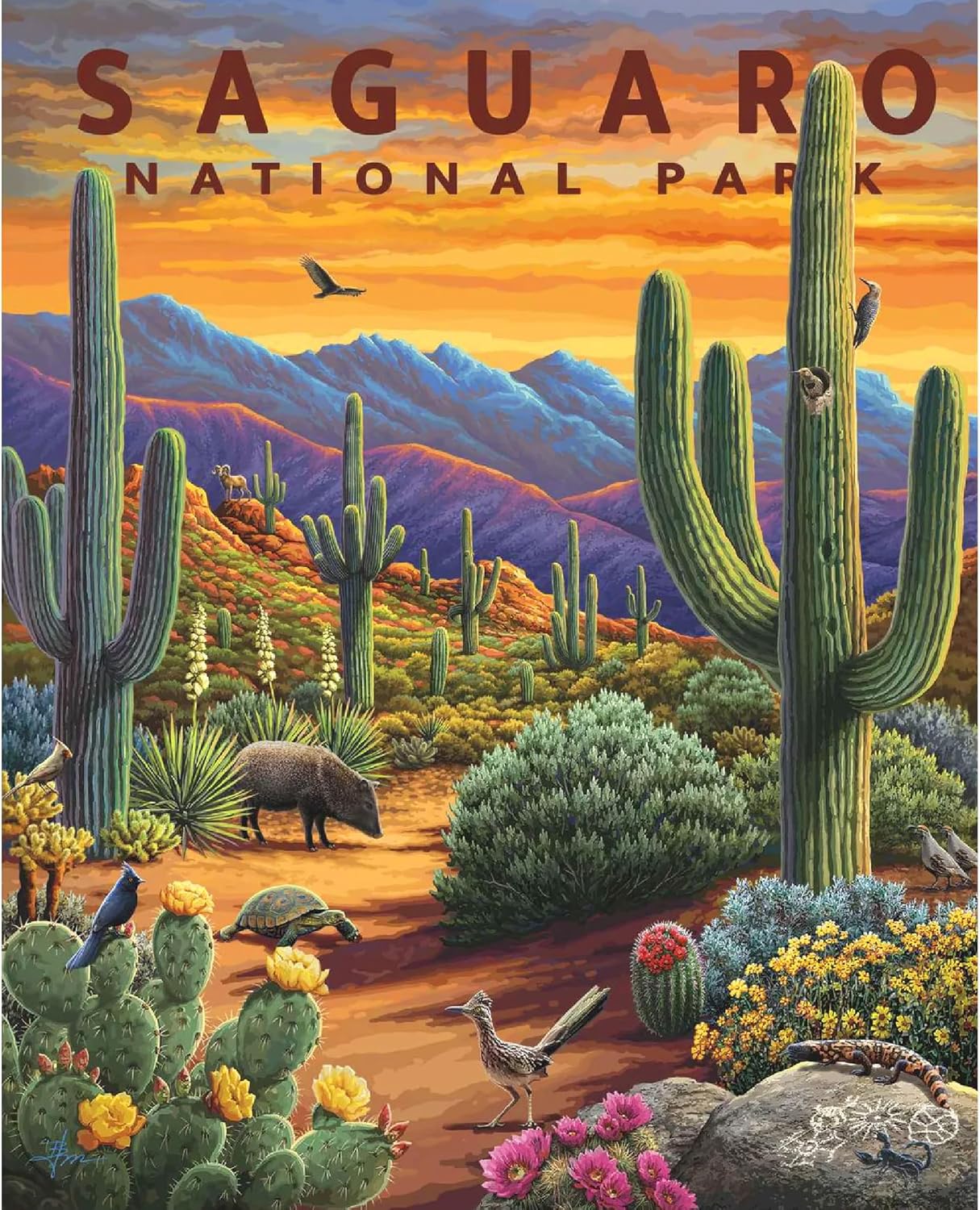 Boardwalk Puzzles Saguaro National Park, 500 Piece Jigsaw Puzzle for Adults, 16 x 20 Inches, Made in USA