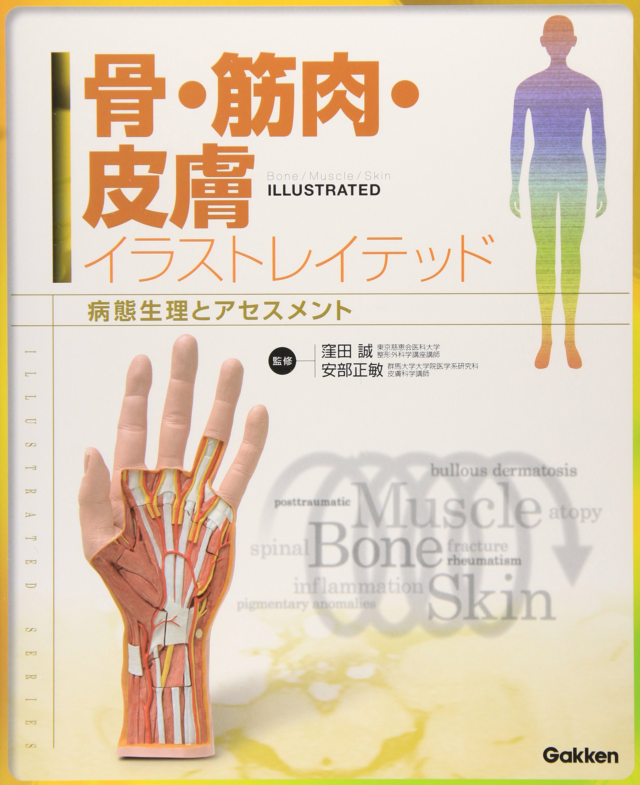 骨 筋肉 皮膚イラストレイテッド 病態生理とアセスメント Iiiustrated Series 正敏 安部 誠 窪田 本 通販 Amazon