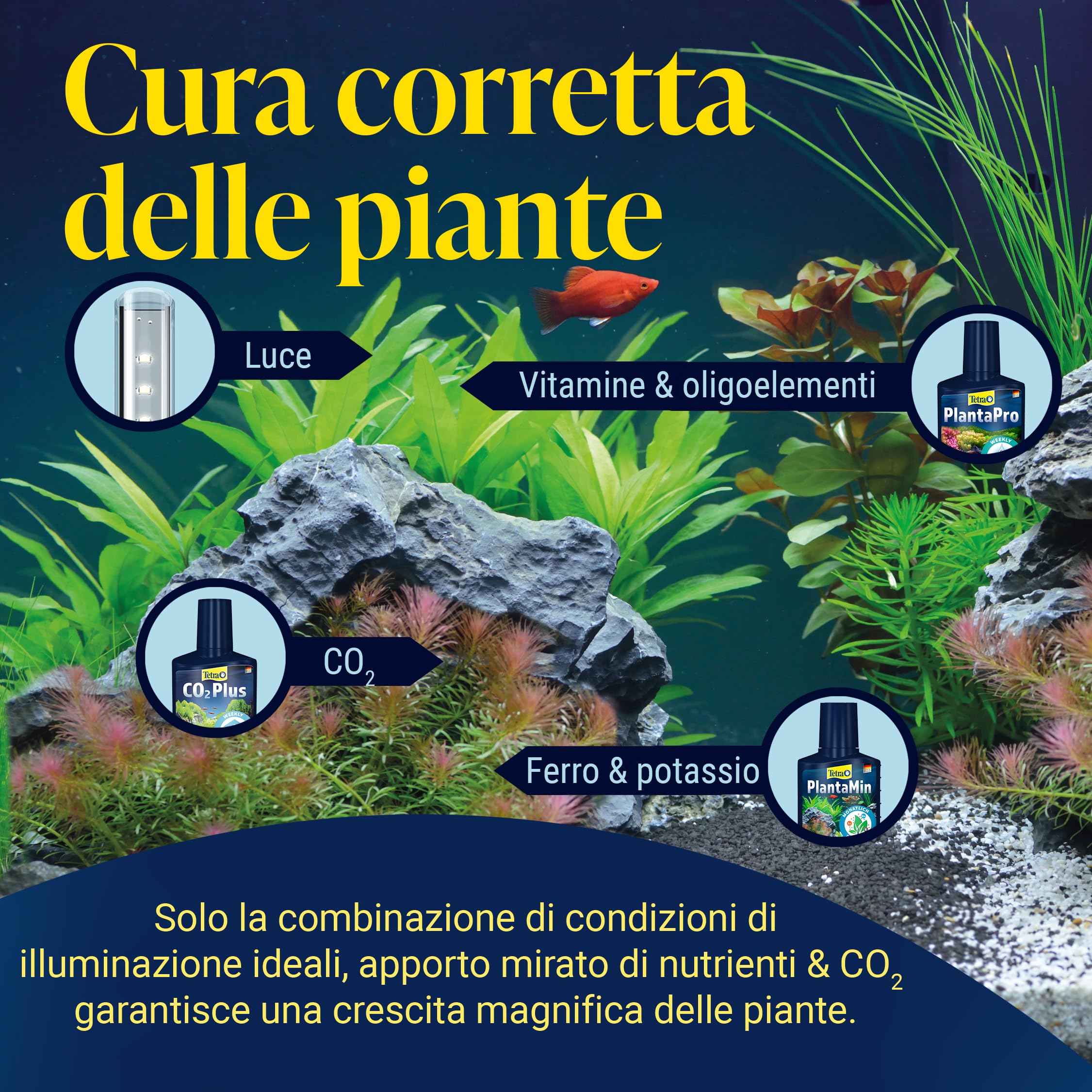 Tetra CO2 Plus - Fertilizzante liquido a base di carbonio per piante d'acquario rigogliose, flacone da 250 ml
