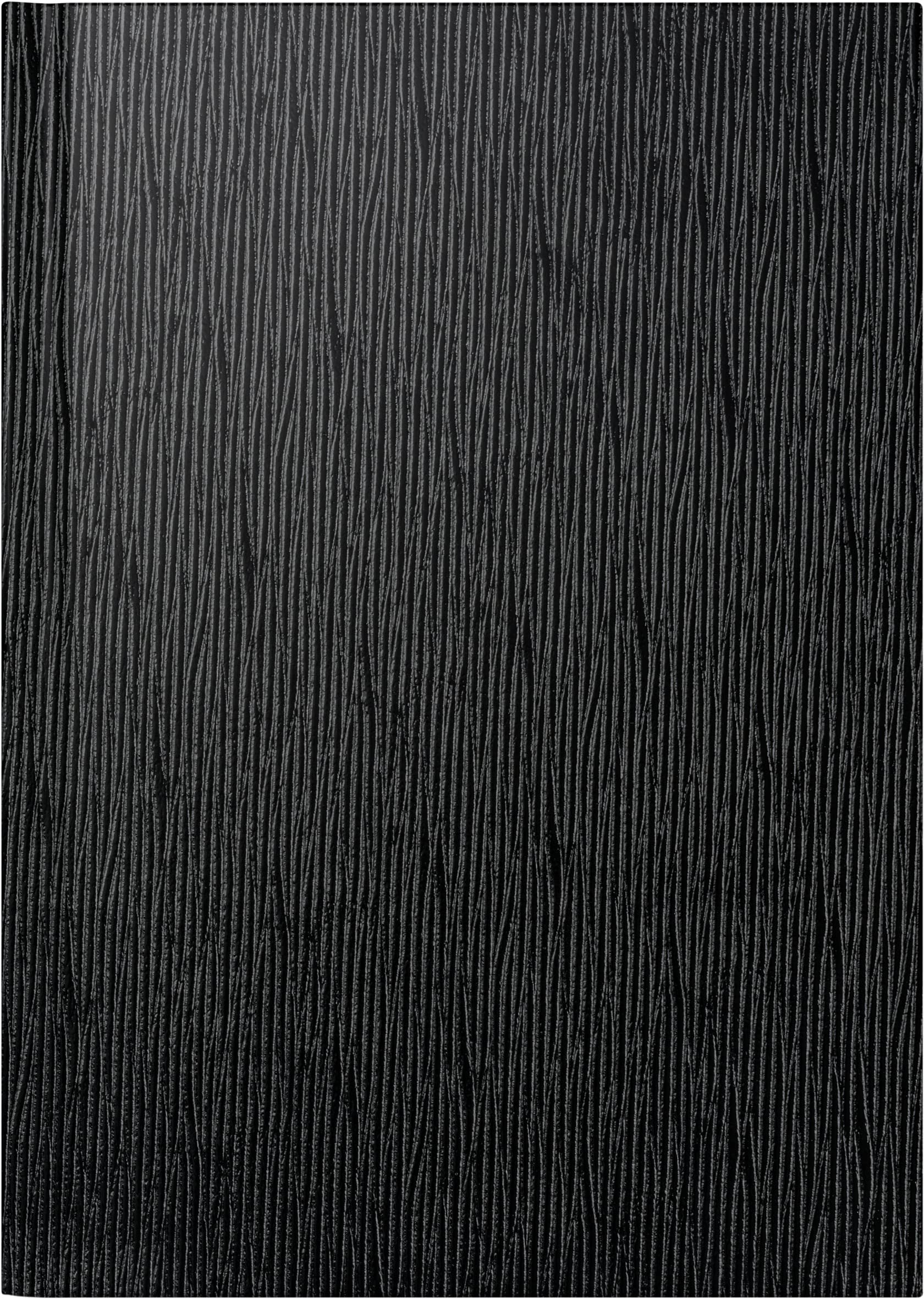 rido/idé Mentor 2024 Daily Calendar 1 Page = 1 Day Sheet Size 14.8 x 20.8 cm Black