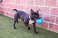 Vista 4 de Jolly Pets - Pelota de fútbol flotante para perros