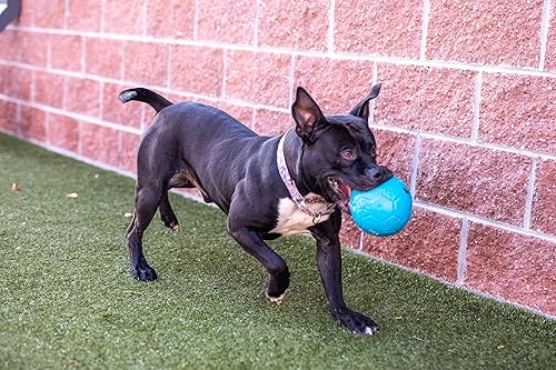 Miniatura 2 de Jolly Pets - Pelota de fútbol flotante para perros