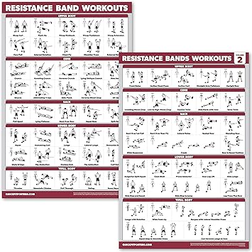 QUICKFIT 2 Pack Resistance Bands Exercise Poster Set - Resistance Tubes Workout Charts