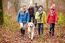 Pedag 145 Solar, Cold Weather Insole for Children with 3 Layers of Insulation, Toddler Ch 9.5/10-EU 26/27 gallery image