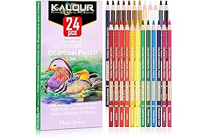 Prismacolor® 24 Premium Skin Tone Colored Charcoal Pencils