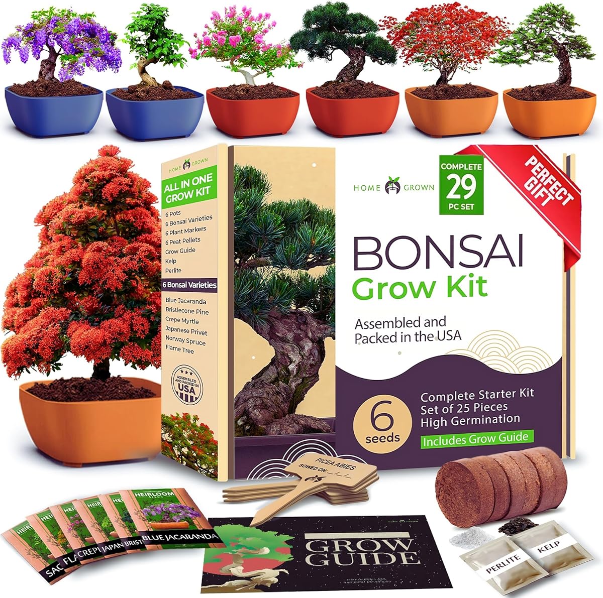 HOME GROWN Bonsai Tree Kit – 6 Heirloom Varieties with Unique Pots – DIY Bonsai Starter Kit for Adults & Beginners – Christmas Gift for Men Women Gardeners Plant Lovers – Indoor Growing Kit