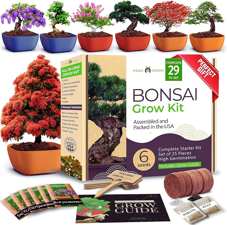 Amazon.com: HOME GROWN Bonsai Tree Kit  6 Heirloom Varieties with Unique  Pots  DIY Bonsai Starter Kit for Adults & Beginners  Christmas Gift for  Men Women Gardeners Plant Lovers