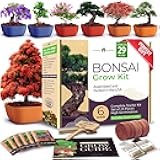 HOME GROWN Bonsai Tree Kit – 6 Heirloom Varieties with Unique Pots – DIY Bonsai Starter Kit for Adults & Beginners – Christmas Gift for Men Women Gardeners Plant Lovers – Indoor Growing Kit