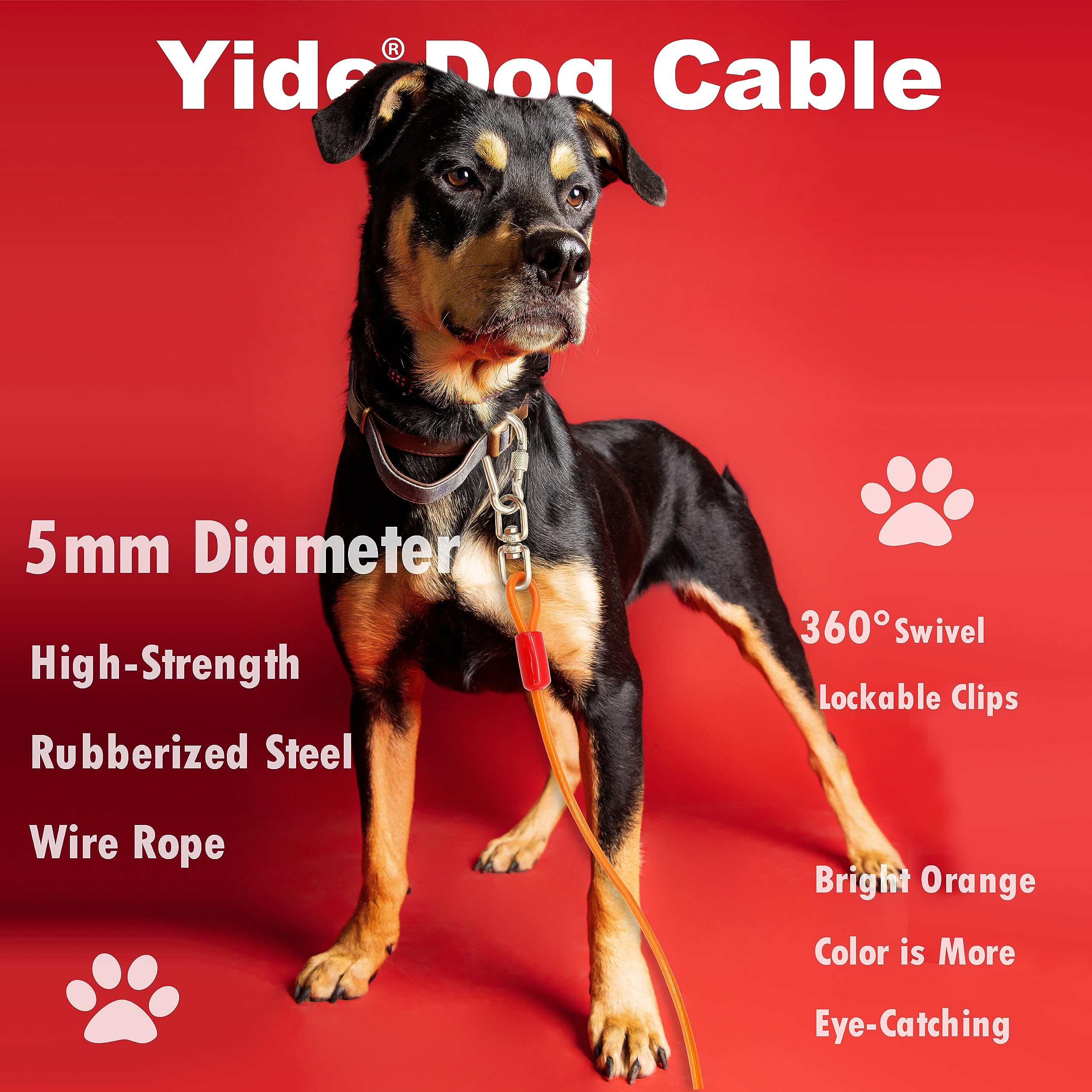 Rope Invisible Dog Collar Safely Secured Anti-Theft Lockable Dog Leash