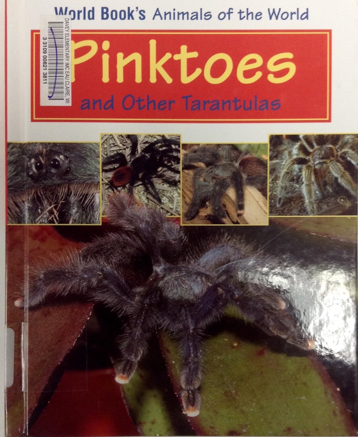 Pinktoes and Other Tarantulas (World Book's Animals of the World