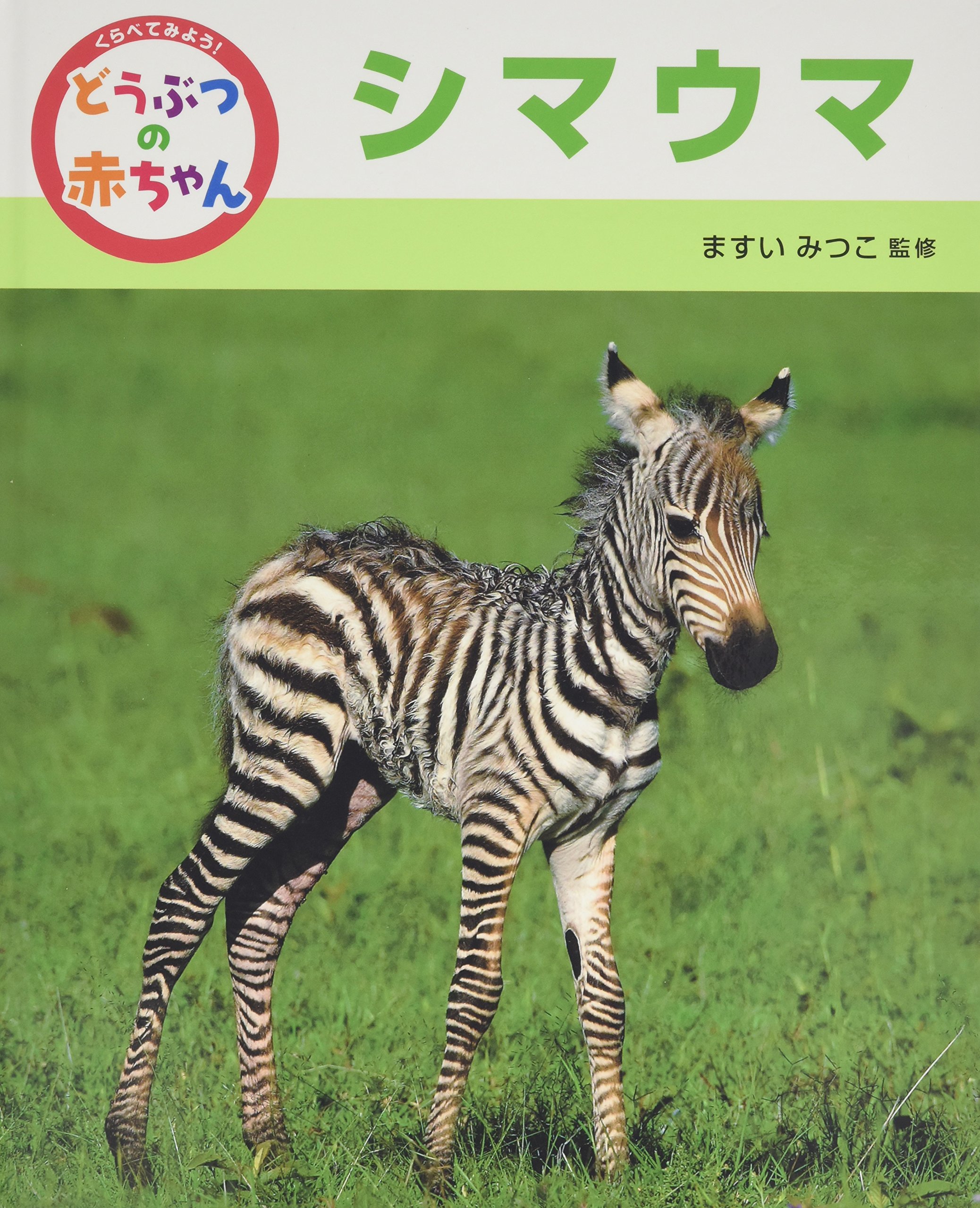 くらべてみよう!どうぶつの赤ちゃん (2) | 増井光子 |本 | 通販 | Amazon
