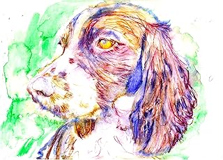 Springer Spaniel Art Print, Dog Lover Gift for Her Him, Puppy Owner Picture Choice of size 8x10, A4 A3 Watercolour Print Signed by Oscar Jetson. (a3)