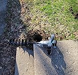 Review Image by Mr. Hamilton