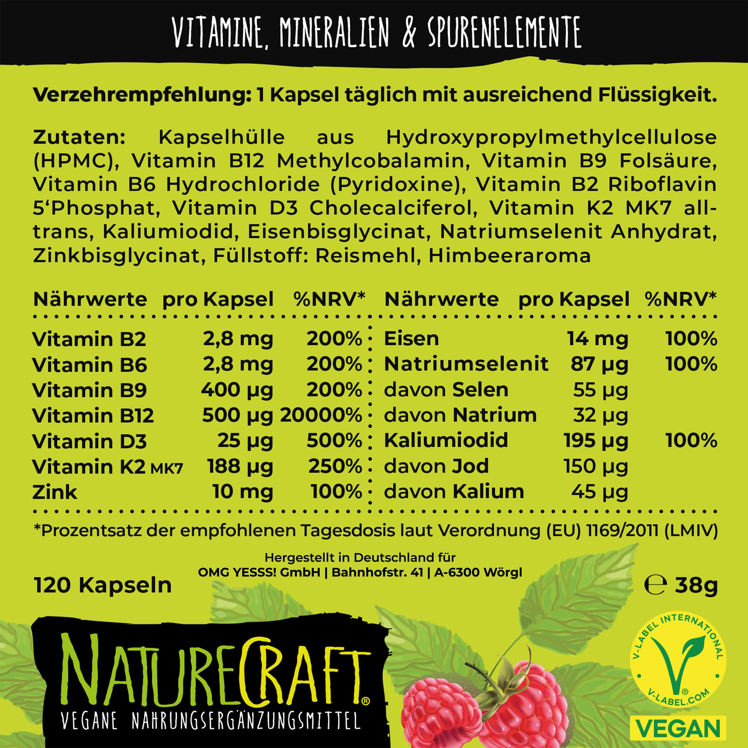 Vegan All-in-One - Vitamin B12+D3+K2+B2+B6+B9 Folsäure + Zink + Eisen + Selen + Natrium + Kalium + Jod - Komplex mit 120 Kapseln (4 Monats-Vorrat)