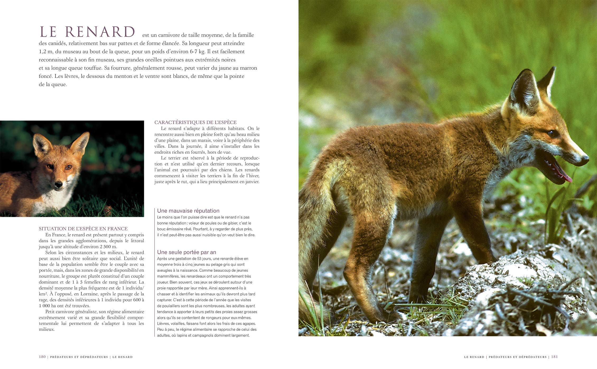 Le grand livre de la chasse: Nouvelle édition