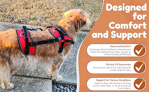 Miniatura 4 de Doggie Stylz Arnés de elevación multifuncional para todo el cuerpo para perros, diseñado para elevación de perros solo en la parte delantera, solo