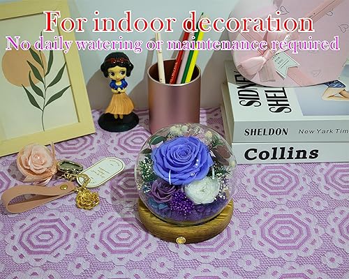 Miniatura 6 de Valley of Rain & Forest Flores reales de larga duración, regalo floral único para que envíes amor para todas las ocasiones, para decoración de