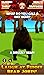 Virtual Pet Grizzly Bear