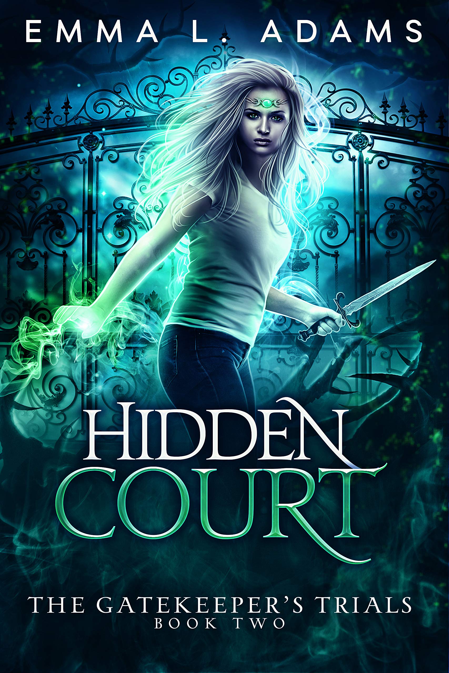 Cover of Hidden Court