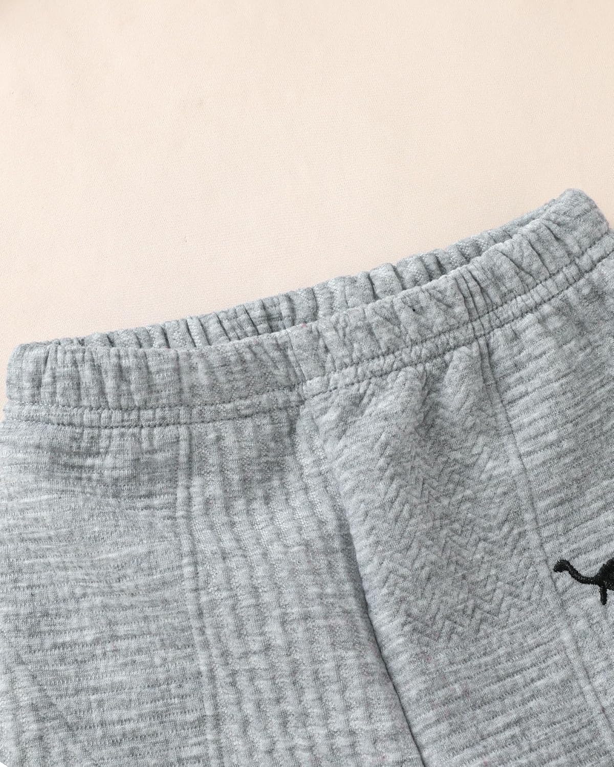 Rosibel Toddler Baby Boy Clothes Set Long Sleeve Sweatshirt and Pants Fall Winter Outfits for Infant 6M-3Y - Image 6