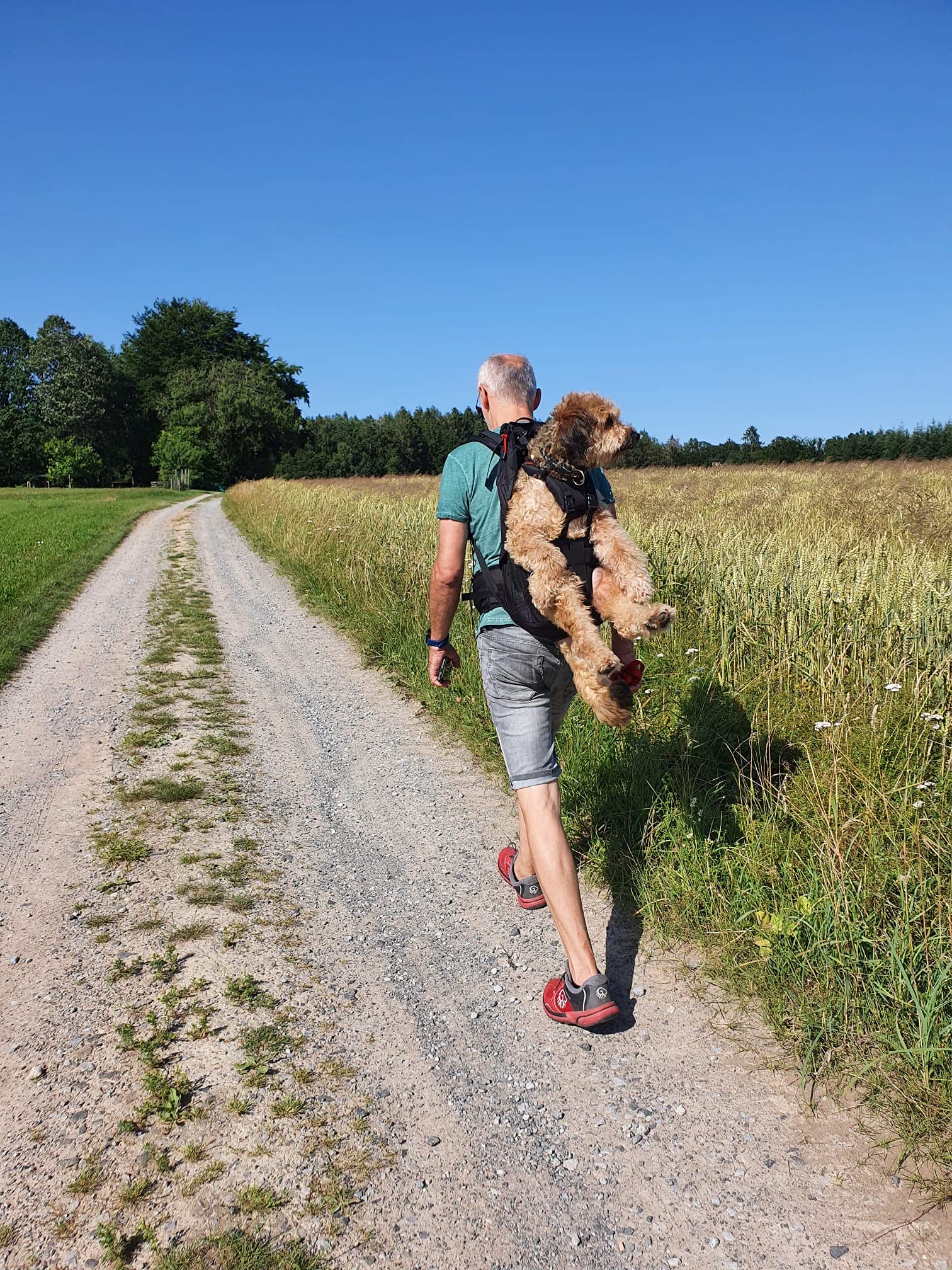Dog Carrier - Zaino per cani da 9 a 18 kg