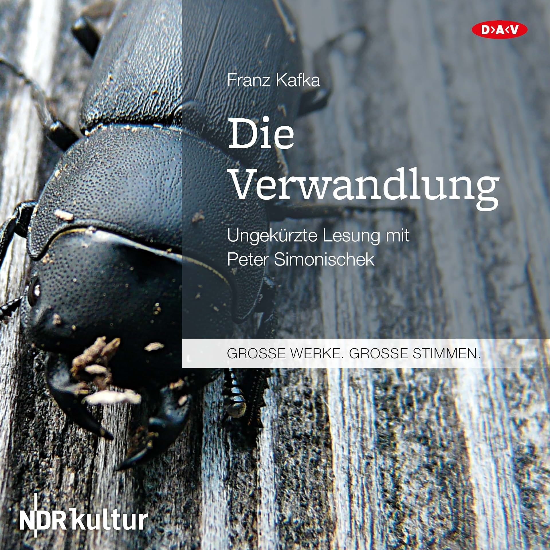 Carousel Item: Die Verwandlung