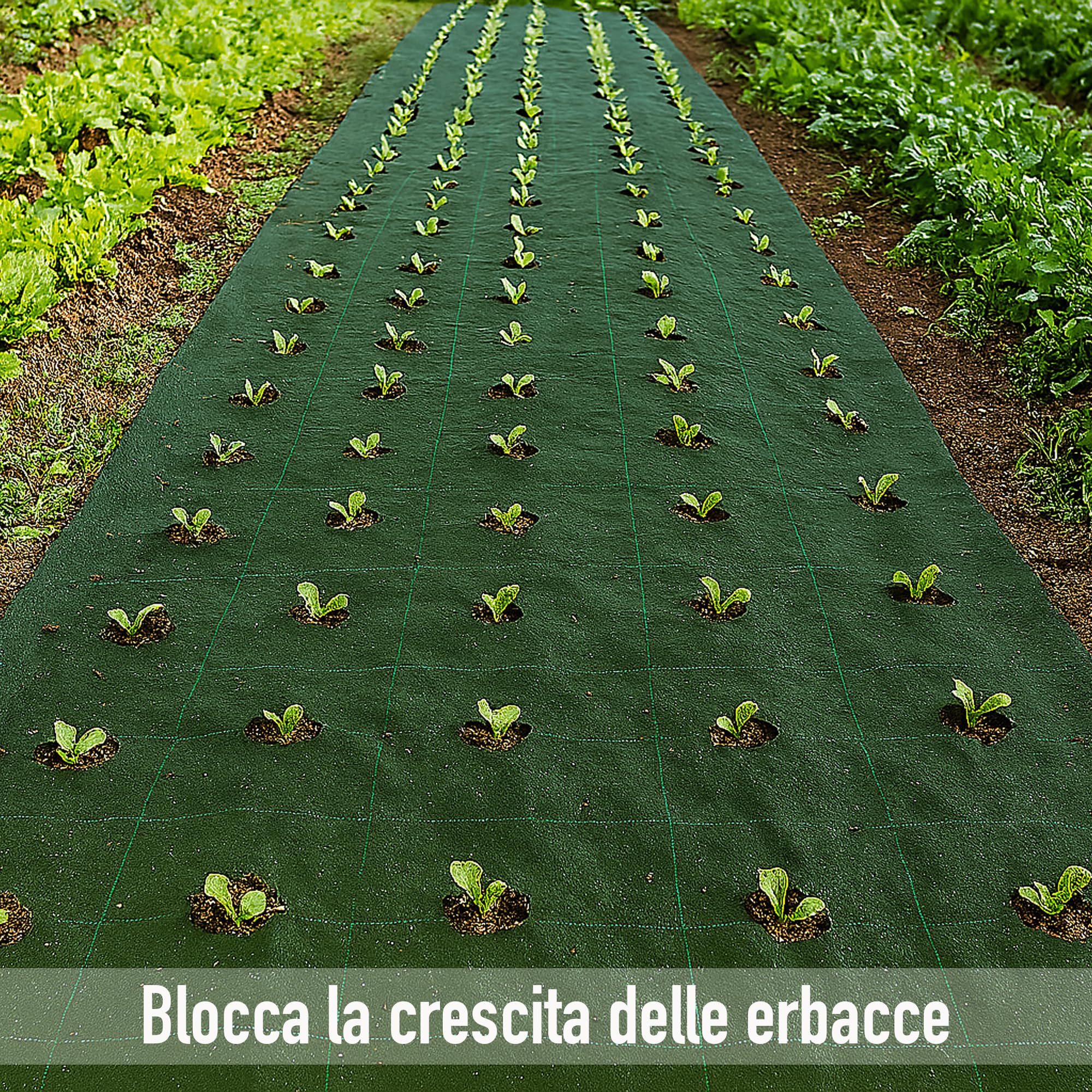 AEFFE Telo Rete Pacciamatura 100 gr/mq in Rotoli, Tessuto Anti Erbacce, Permeabile all'Acqua, Ideale per Ancoraggio Prati Sintetici, Orto, Giardino, Nero e Verde (1,5 x 10 Metri, Verde)