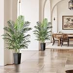 Arbre à palmiers artificiels : 5FT Tall Fake Areca Palm Plant (Planter noir) ► Grand Tropical Faux Palm Tress Plantes en soie avec des cailloux noirs pour la maison Bureau Salon Décor Patio intérieur Porc Balcon
