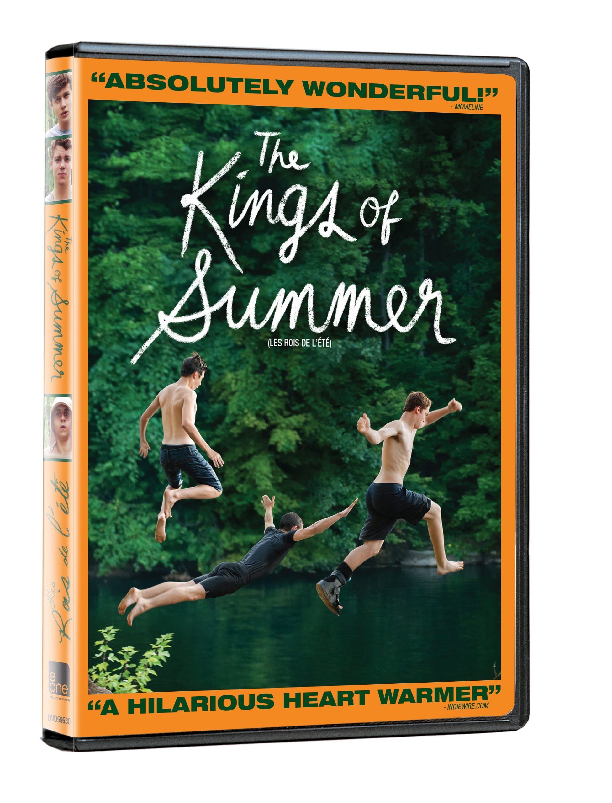 Kings Of Summer (Bilingual) [DVD]