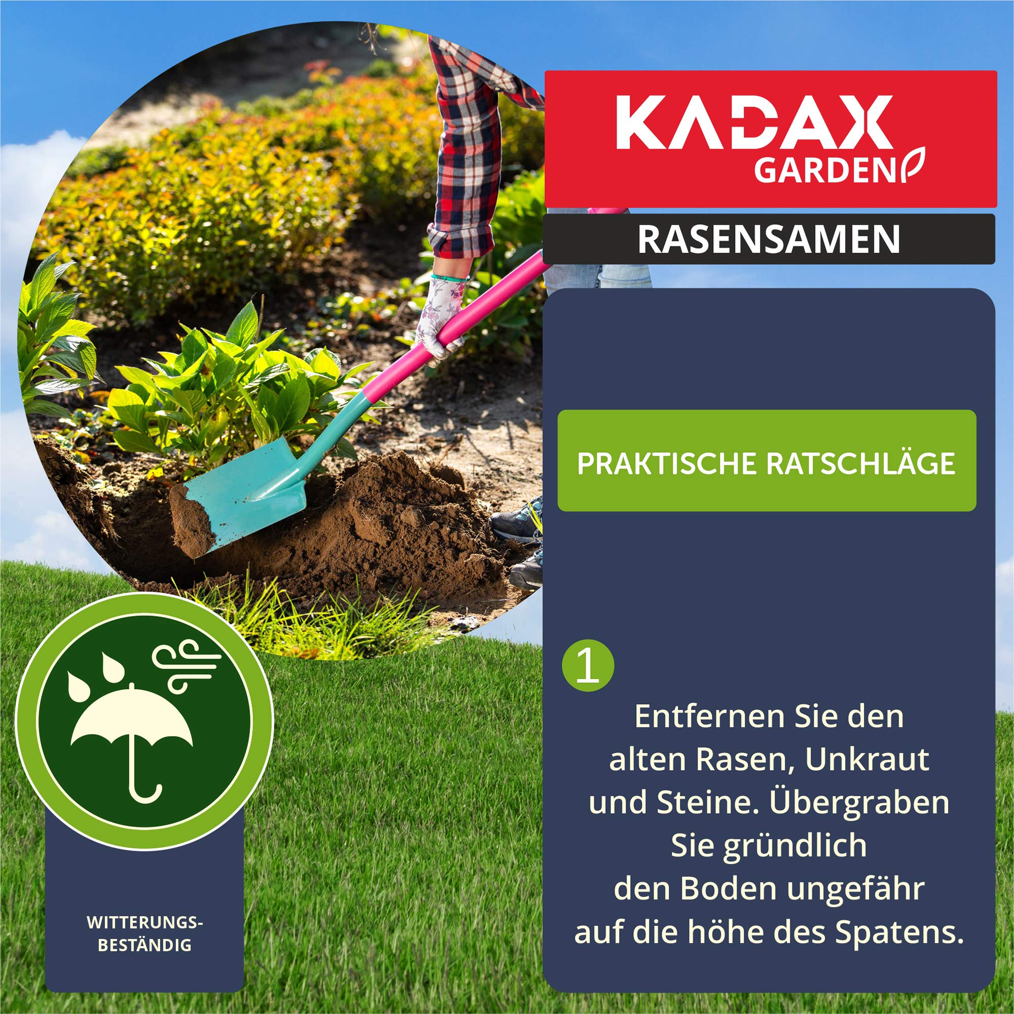 KADAX nasiona traw, 600 m², nasiona traw, trawa uniwersalna, mieszanka traw, nasiona, mieszanka nasion traw, nasiona na solidne i estetyczne trawniki (15 kg)