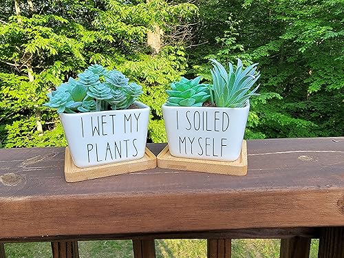 Miniatura 3 de Square Succulent Pots, Small Funny Plant Pot With Tray, Cute Cactus Planter With Drainage Hole, Housewarming Gift, Punny Succulent Pots, I Soiled