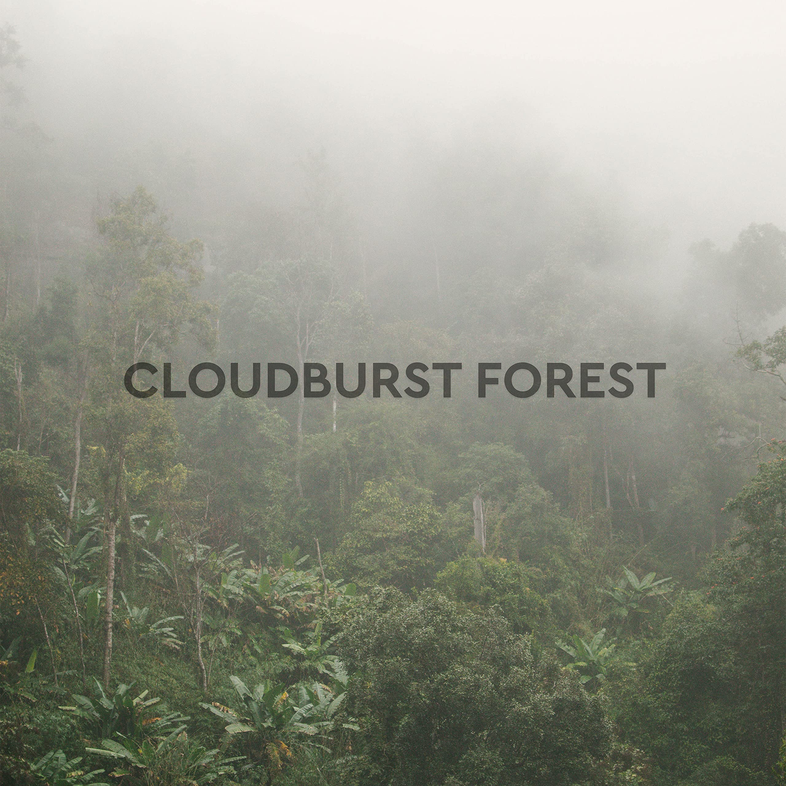Cloudburst Forest
