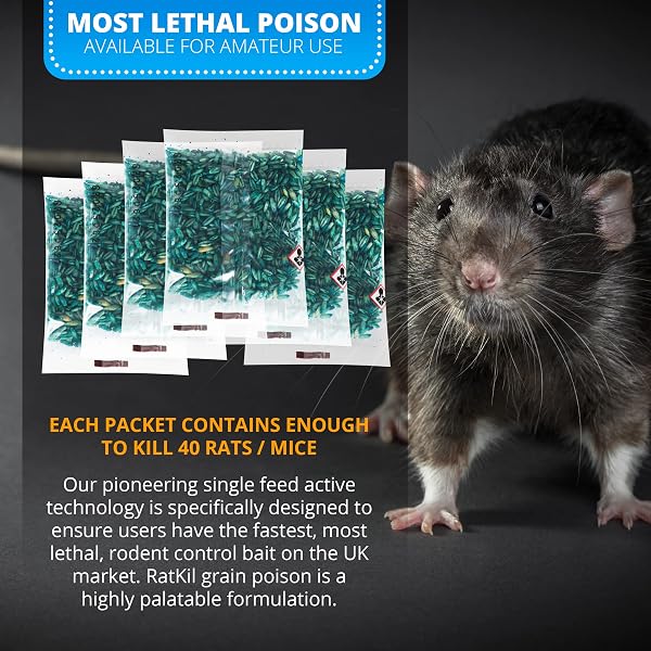 RatKil Rat Poison (6 x25g) Rat Bait & Mouse Poison Grain - Strongest Maximum Strength Rodent Killer - Fast Acting, All Weather, Single Feed Bait Sachets - 2