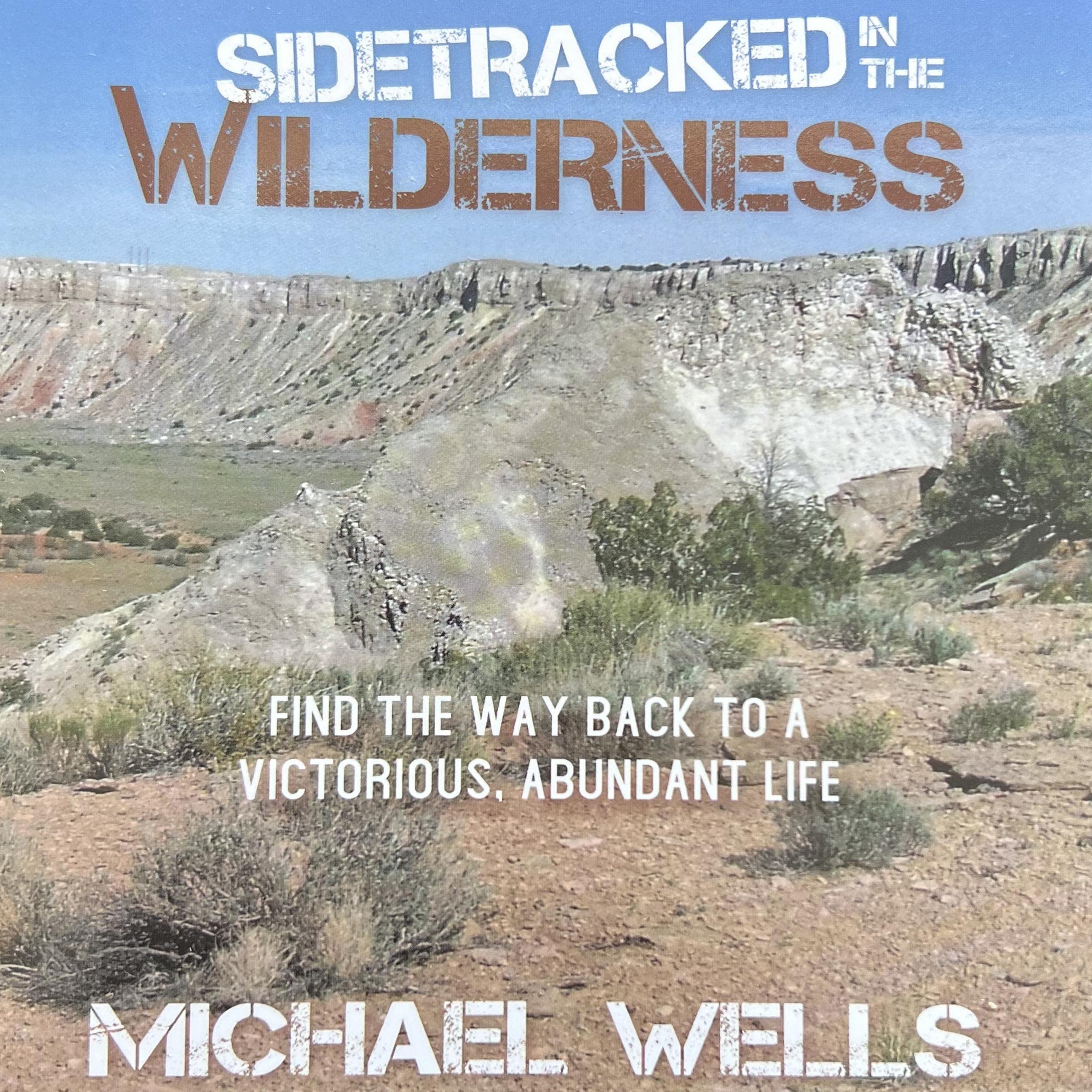 Cover art for Sidetracked in the Wilderness