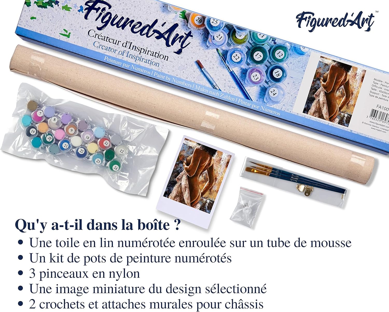 Figured'Art Paint by Numbers for Adults Pretty Curves 16"x20" - Craft Art Painting DIY Kit Rolled Canvas Without Frame