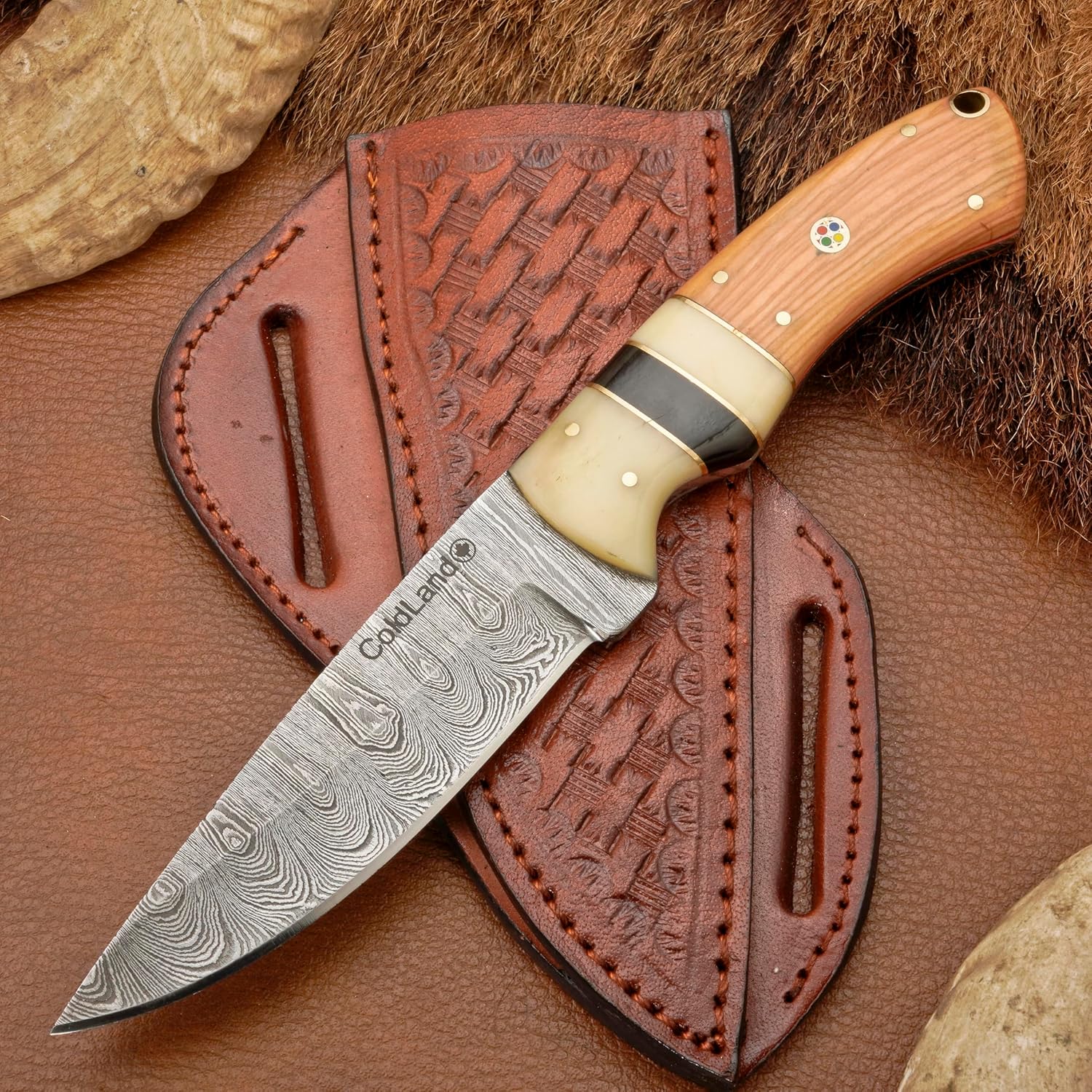 ColdLand Hunting Knife – 8.5 Inch Full Tang Damascus Knife with Sheath | Kao Wood & Camel Bone Handle | Fixed Blade Hunting Knives for Hunting, Skinning, EDC, Picnic & Camping